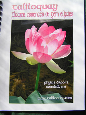 catalog